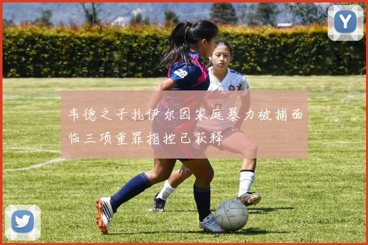 韦德之子扎伊尔因家庭暴力被捕面临三项重罪指控已获释
